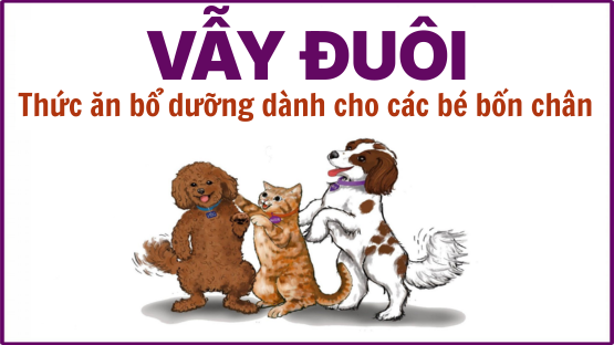 Thức ăn và đồ nhai tự nhiên cho chó